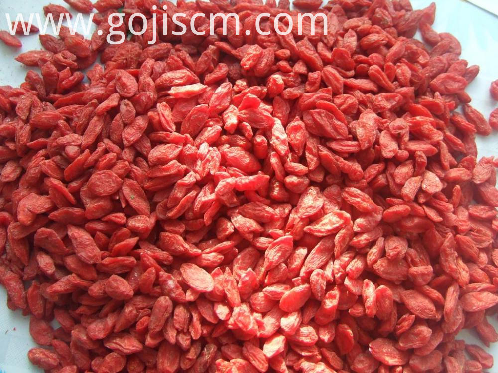 220pcs 50g Goji Berry Slimming Diet Berry 220pcs 50g Goji Berry Slimming Diet Berry
